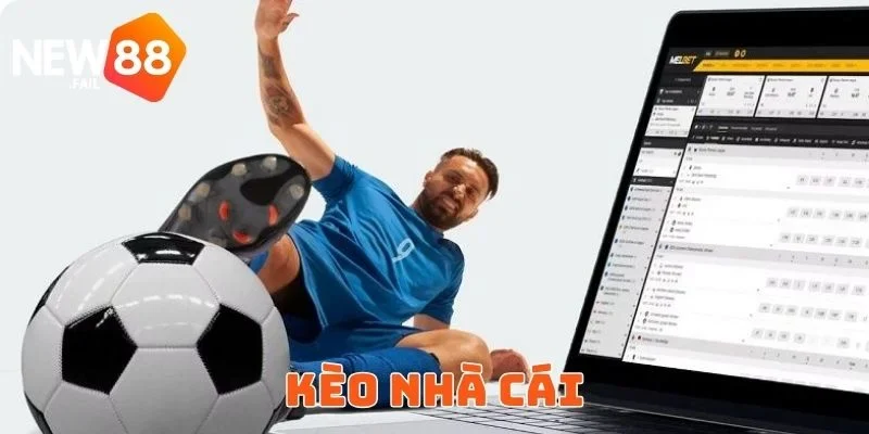 Kèo Nhà Cái New88 - Hướng Dẫn Cách Đọc Và Xác Định Kèo Chuẩn 1 Kèo Nhà Cái